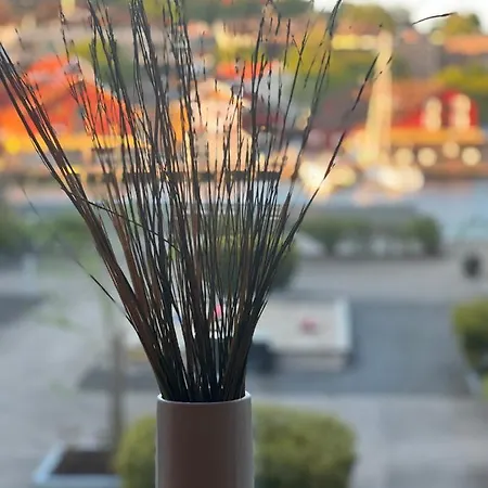 Ahotel No - The View